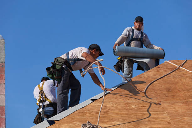 Best Roof Leak Repair  in Bridgeville, DE